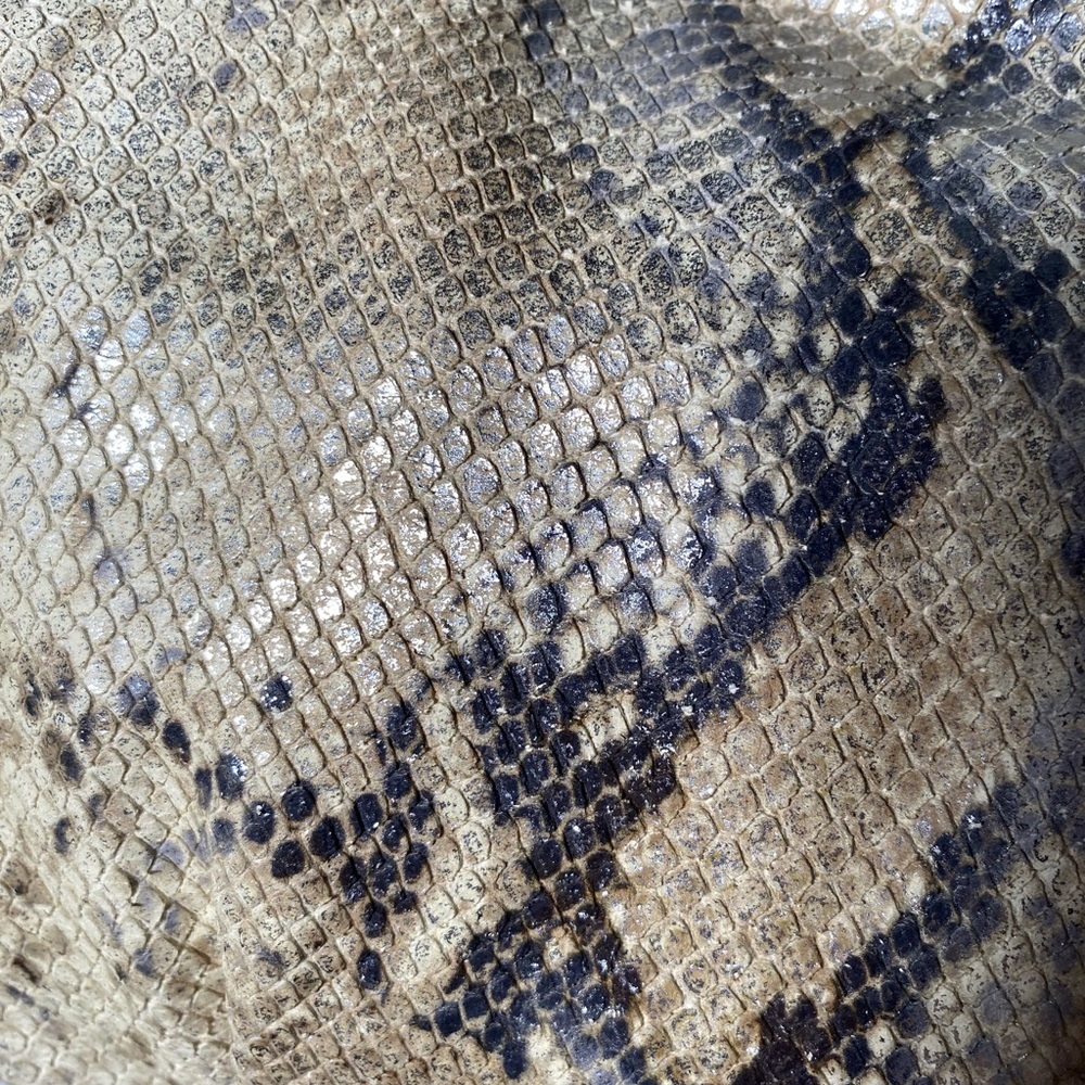 Coach Snake Print Python Satchel Bag. (Never Used… - image 6